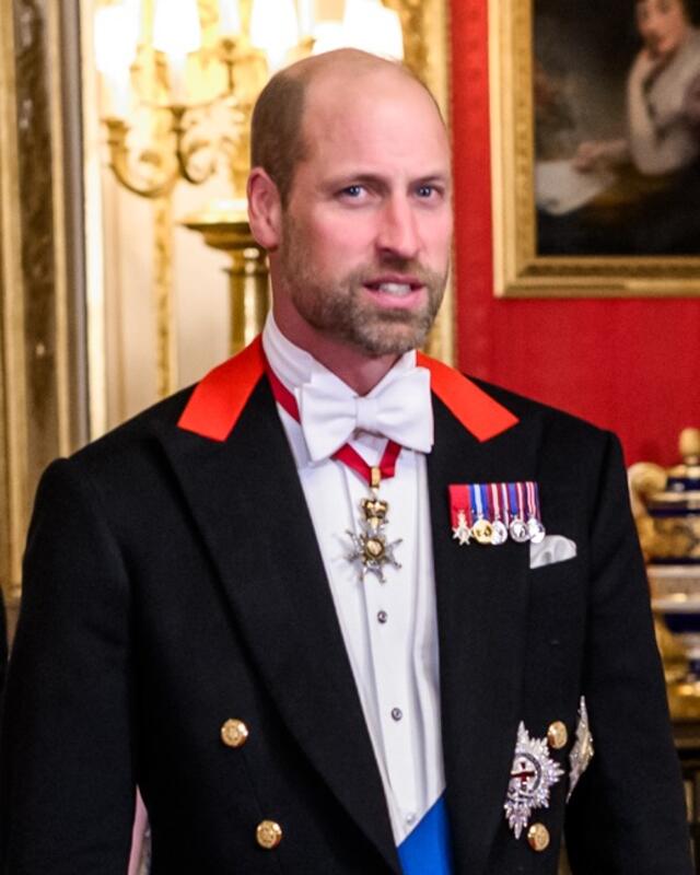 Prince William × Ian Thorpe